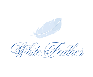 Logo Design by borzoid