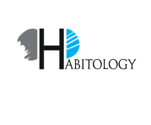 Logo Design by lana for this project | Design #6019017