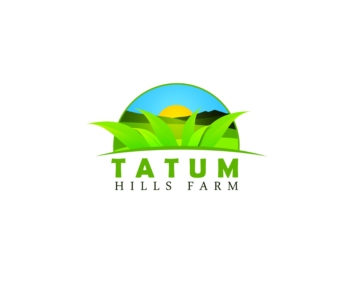 Logo Design by Jan Panol for this project | Design #6012094