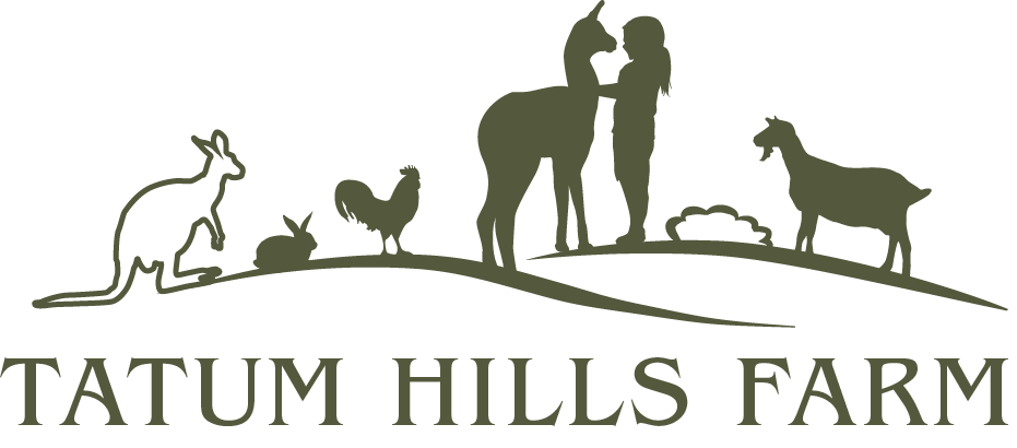 Logo Design by mariosigncom for this project | Design #6213298