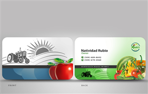 Business Card Design by disign for this project | Design: #319923