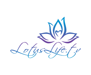 Logo Design by LOGO DESIGNER for Lundgren Consulting LLC | Design: #6011223