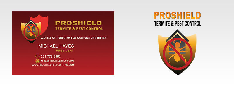 Diseño de Tarjeta de Presentación por ev 21 para este proyecto | Diseño #6010315