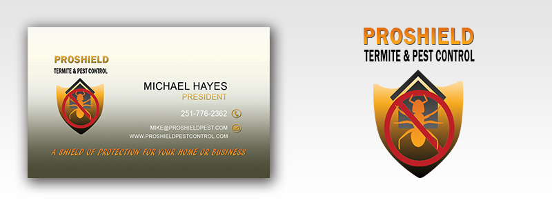 Diseño de Tarjeta de Presentación por ev 21 para este proyecto | Diseño #6010320