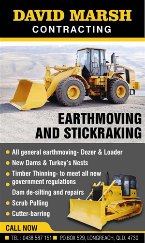 Newspaper Ad Design by rkailas for Marsh Contracting | Design: #1657473