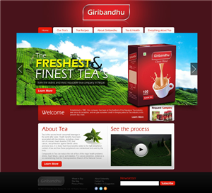 Web Design by TechWise