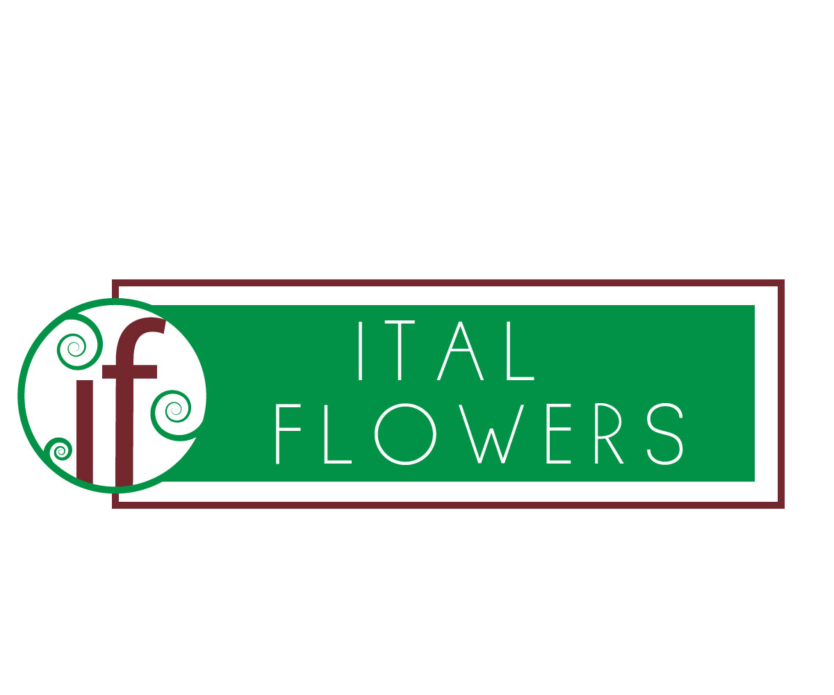 Logo Design by Amy Dawson - Design for this project | Design #1639249
