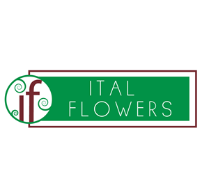 Logo Design by Amy Dawson - Design for this project | Design: #1639249