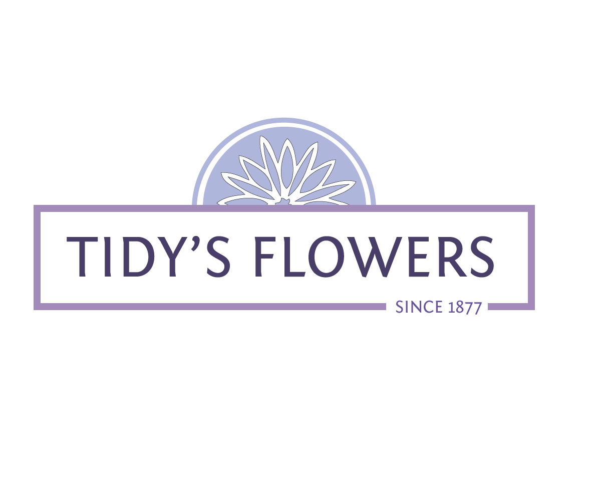 Logo Design by Amy Dawson - Design for this project | Design #1639285
