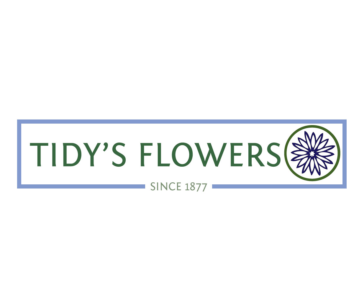 Logo Design by Amy Dawson - Design for this project | Design #1639288