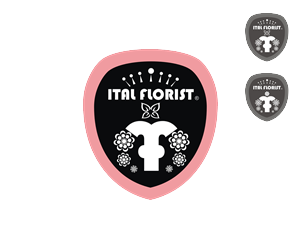 Logo Design by Steval