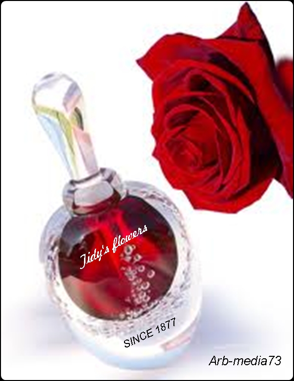 Design de Logo par arbdesign pour ce projet | Design #1620817