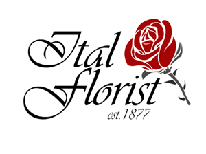 Logo Design by iG3noX for this project | Design: #1618484