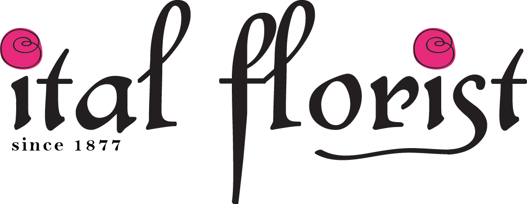 Logo Design by esra. for this project | Design #1619446