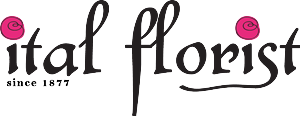 Logo Design by esra.