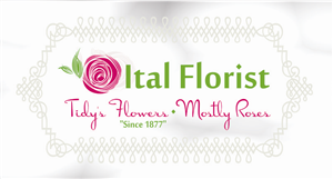 Logo Design by Sandro
