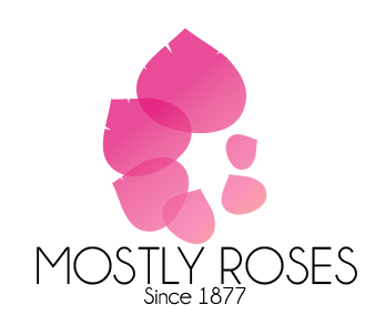 Logo Design by Allyssa Larson for this project | Design #1640992