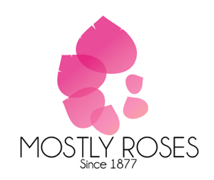 Logo Design by Allyssa Larson for this project | Design: #1640992