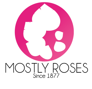 Logo Design by Allyssa Larson for this project | Design #1640997