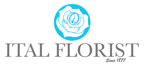 Design de Logo par Allyssa Larson pour ce projet | Design #1641358