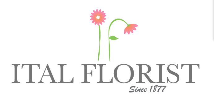 Design de Logo par Allyssa Larson pour ce projet | Design #1641360