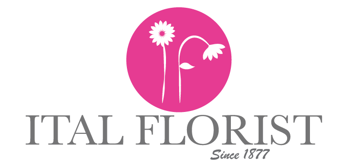 Design de Logo par Allyssa Larson pour ce projet | Design #1641362