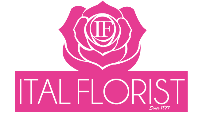 Design de Logo par Allyssa Larson pour ce projet | Design #1641369