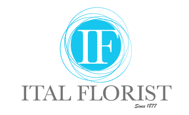 Design de Logo par Allyssa Larson pour ce projet | Design #1641372