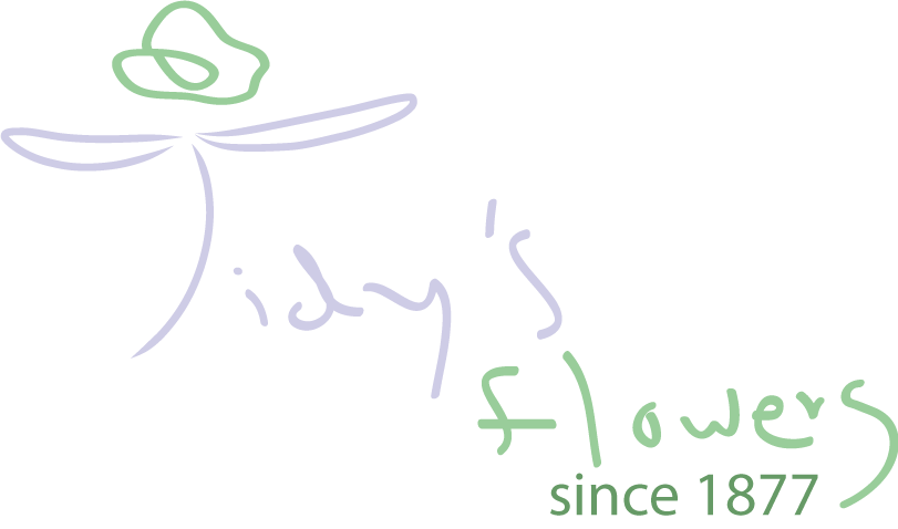 Logo Design by Sandaru for this project | Design #1618687