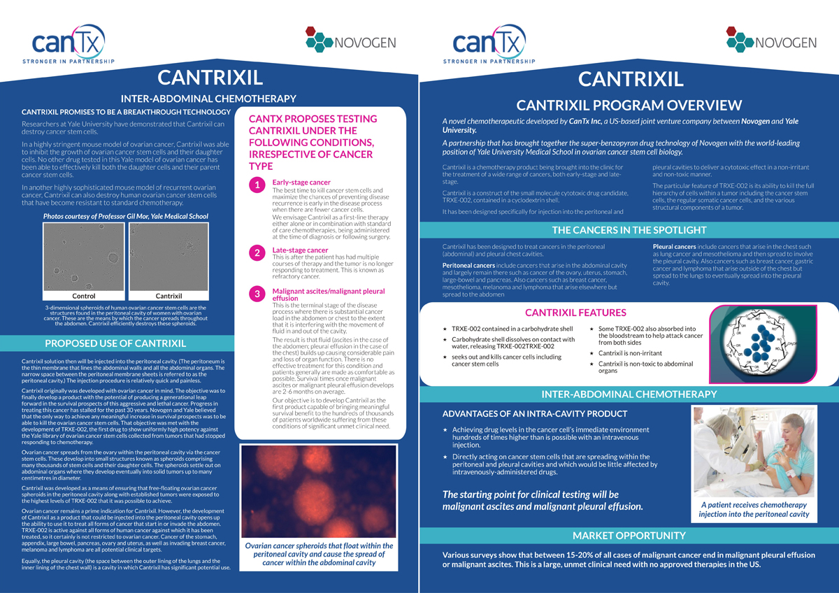 company newsletter design