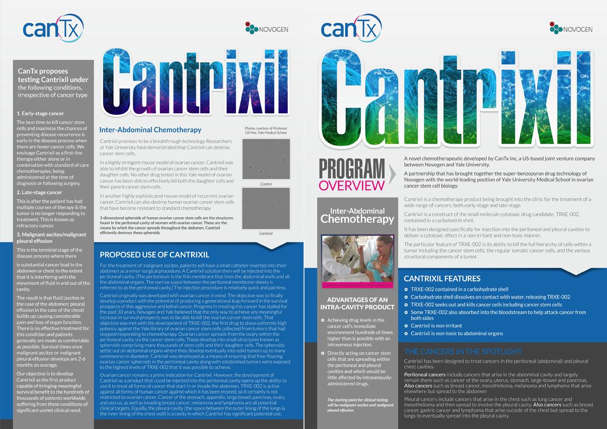 company newsletter design