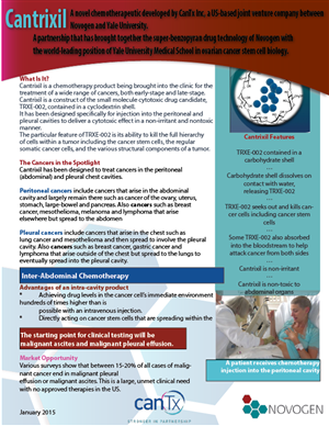 Newsletter Design by abbyrowd24