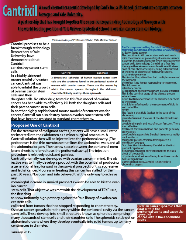 Newsletter Design by abbyrowd24 for Tyler Consulting | Design #6054292