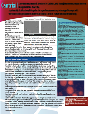 Newsletter Design by abbyrowd24 for Tyler Consulting | Design: #6054292
