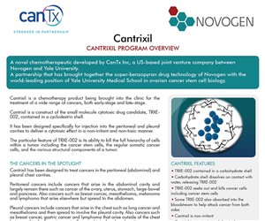 Newsletter-Design von inidadesign für Tyler Consulting | Design #6058841