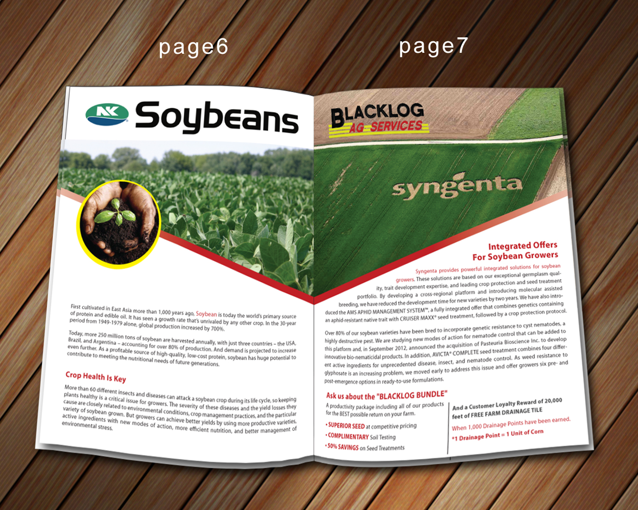 Brochure Design by Sbss for Blacklog Ag Services | Design: #1650850