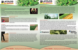 Brochure Design by roshni
