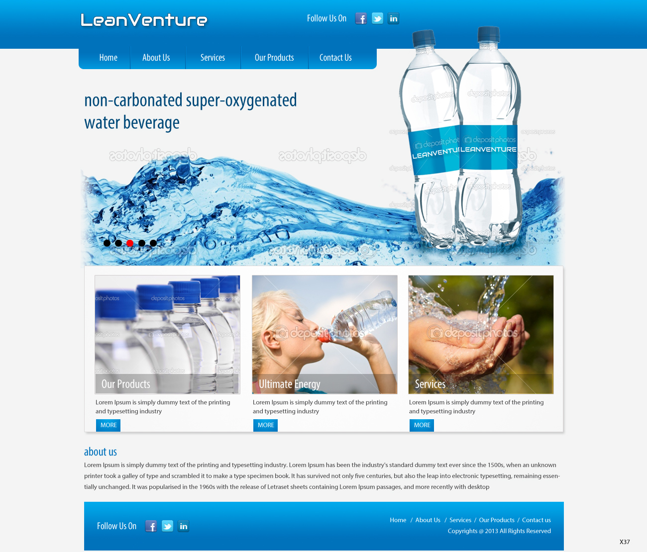 Diseño Wordpress por pb para LeanVenture | Diseño #1641290