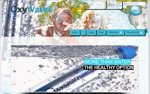 Wordpress Design by schk for LeanVenture | Design #1651922