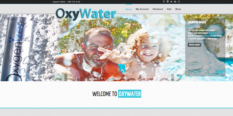 Wordpress Design by schk for LeanVenture | Design #1655072