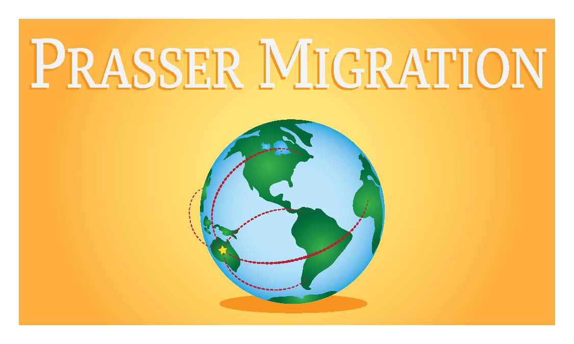 Logo Design by AlanaFisher93 for this project | Design #6032682