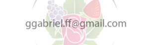 Logo Design by dynamo graphics for this project | Design: #18866609