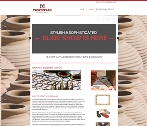 Web Design by Hire Siri 