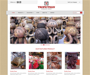 Web Design by NetSpidy