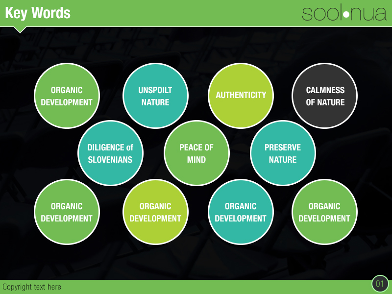 Design de PowerPoint par Best Design Hub pour SoolNua | Design #6042914