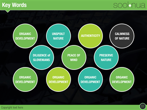 Design de PowerPoint par Best Design Hub pour SoolNua | Design : #6042914