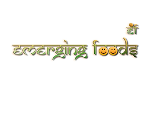 Logo Design by ZingSane