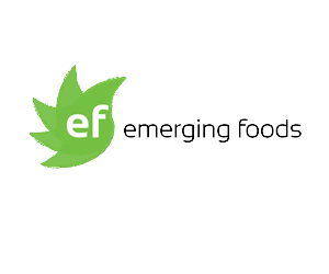 Logo Design by Michael Muyunda