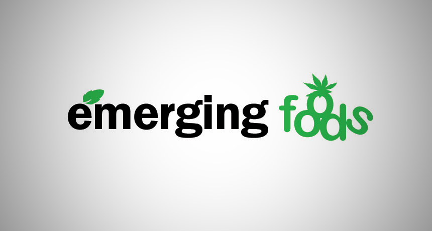 Diseño de Logo por JB para este proyecto | Diseño #1629956