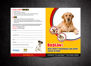 Flyer Design by ESolz Technologies